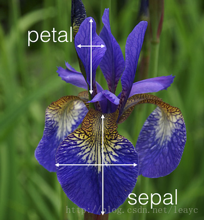 LDA线性判别分析